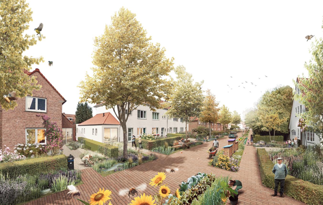 collage van de mogelijke inrichting volgens klimaatwijken in Ter Elst Leuven